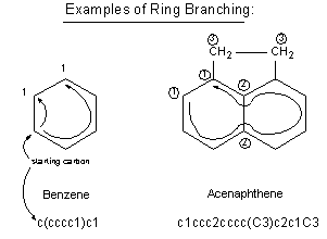 _bm7